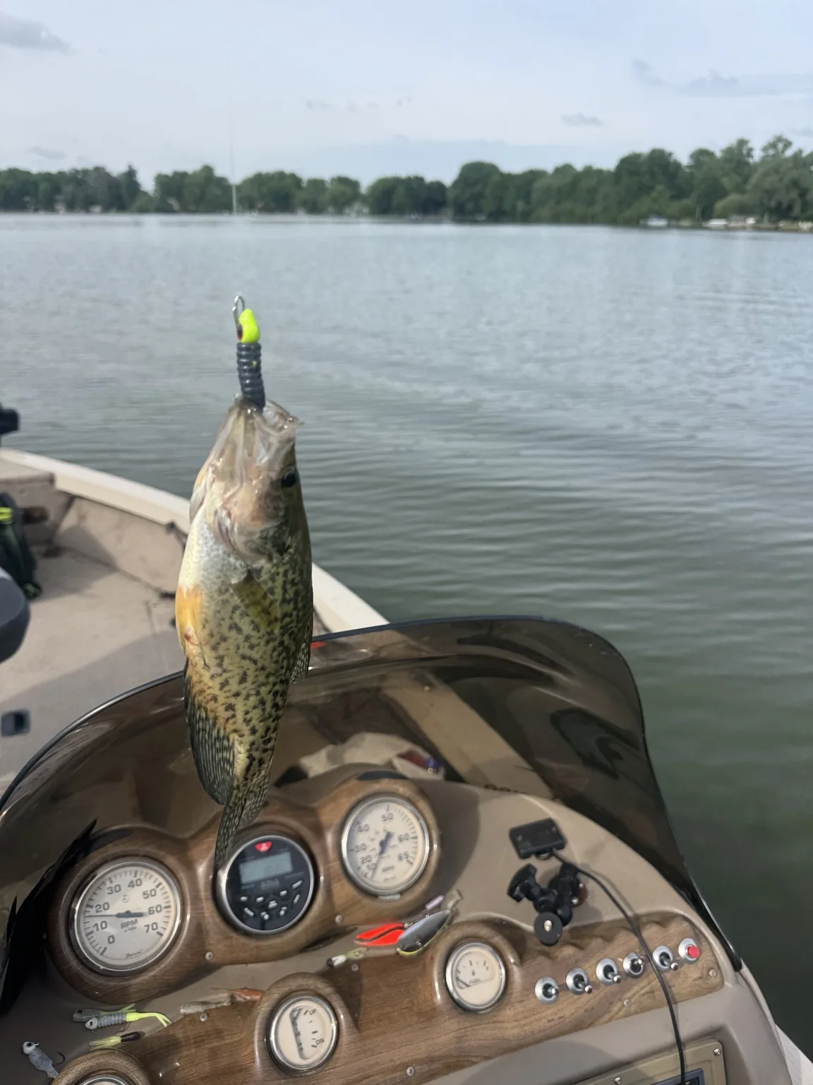 Crappie catch